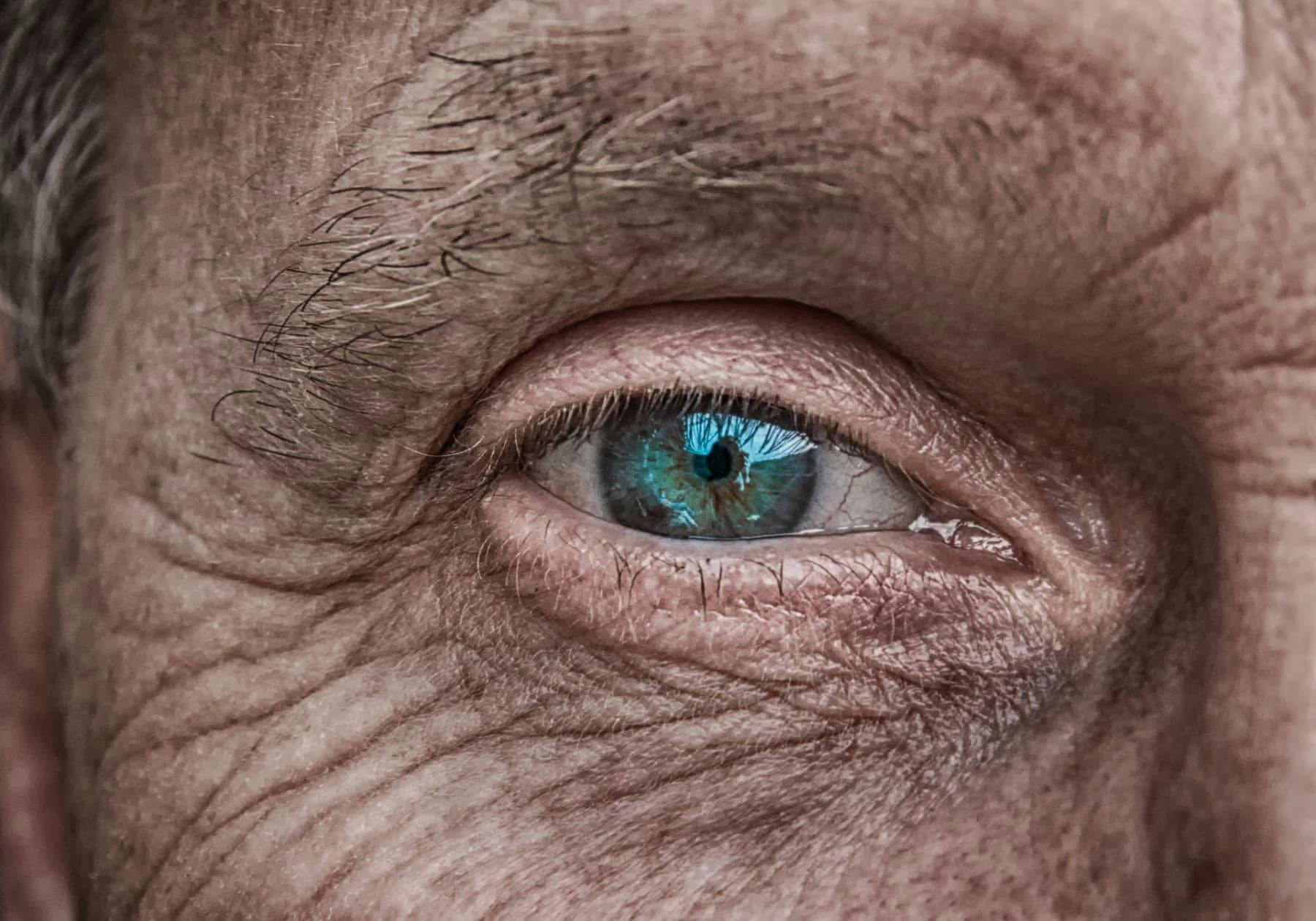 eye of old person wrinkles skin face